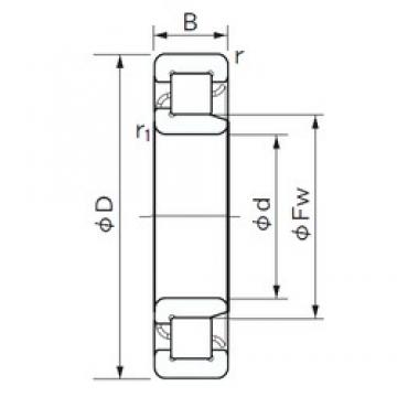 110 mm x 200 mm x 38 mm  NACHI NJ 222 محامل أسطوانية