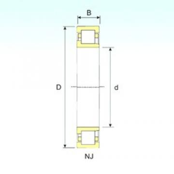 95 mm x 200 mm x 67 mm  ISB NJ 2319 محامل أسطوانية