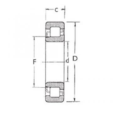 95 mm x 170 mm x 32 mm  FBJ NJ219 محامل أسطوانية