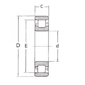 25 mm x 52 mm x 15 mm  FBJ N205 محامل أسطوانية