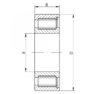 65 mm x 100 mm x 26 mm  ISO SL183013 محامل أسطوانية