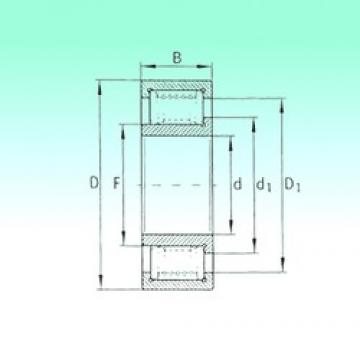 50 mm x 110 mm x 40 mm  NBS ZSL192310 محامل أسطوانية