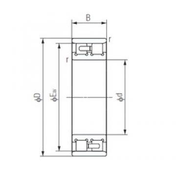 260 mm x 400 mm x 104 mm  NACHI NN3052 محامل أسطوانية