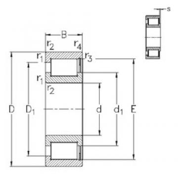 190 mm x 240 mm x 24 mm  NKE NCF1838-V محامل أسطوانية