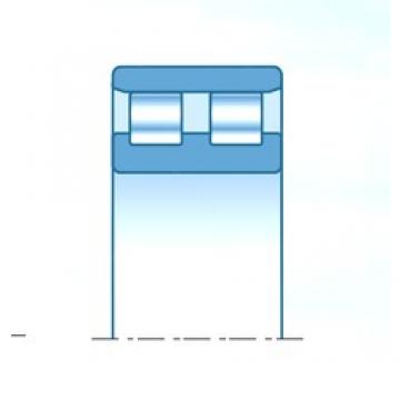 140 mm x 210 mm x 53 mm  NTN NN3028KC9NAP4 محامل أسطوانية