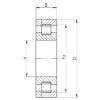 260 mm x 480 mm x 130 mm  ISO NP2252 محامل أسطوانية