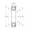 220 mm x 270 mm x 24 mm  INA SL181844 محامل أسطوانية