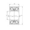 ISO 71902 CDB الاتصال الكرات الزاوي