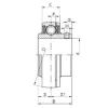 55 mm x 110 mm x 65,1 mm  ISO UCX11 الكرات الأخدود العميق