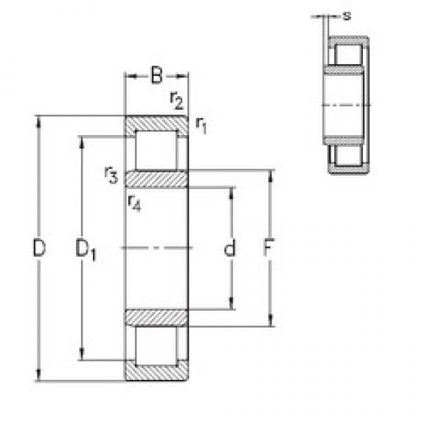 120 mm x 215 mm x 40 mm  NKE NU224-E-M6 محامل أسطوانية #1 image