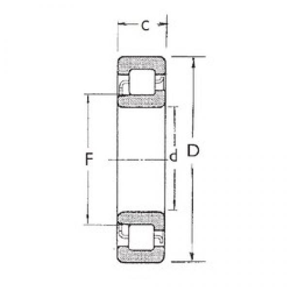 95 mm x 170 mm x 32 mm  FBJ NJ219 محامل أسطوانية #1 image