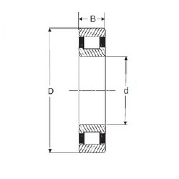 55 mm x 100 mm x 25 mm  SIGMA N 2211 محامل أسطوانية #1 image