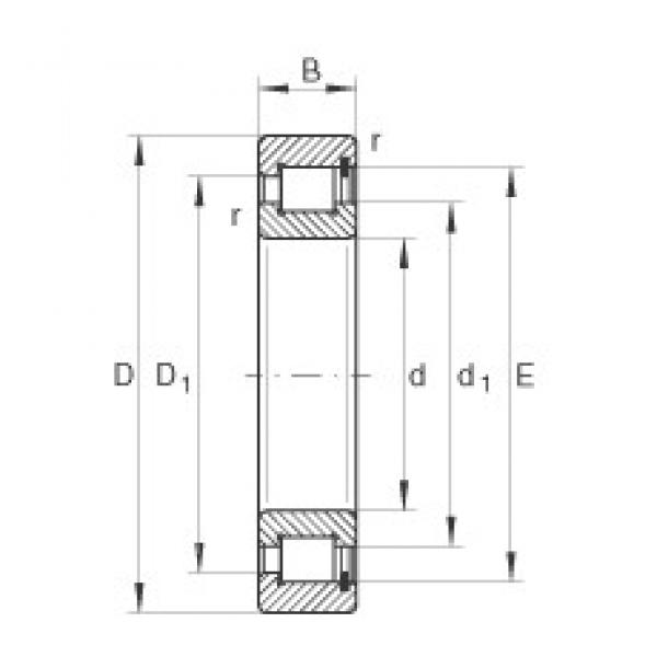 220 mm x 270 mm x 24 mm  INA SL181844 محامل أسطوانية #1 image