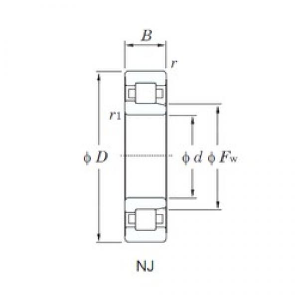 65 mm x 120 mm x 31 mm  KOYO NJ2213R محامل أسطوانية #1 image