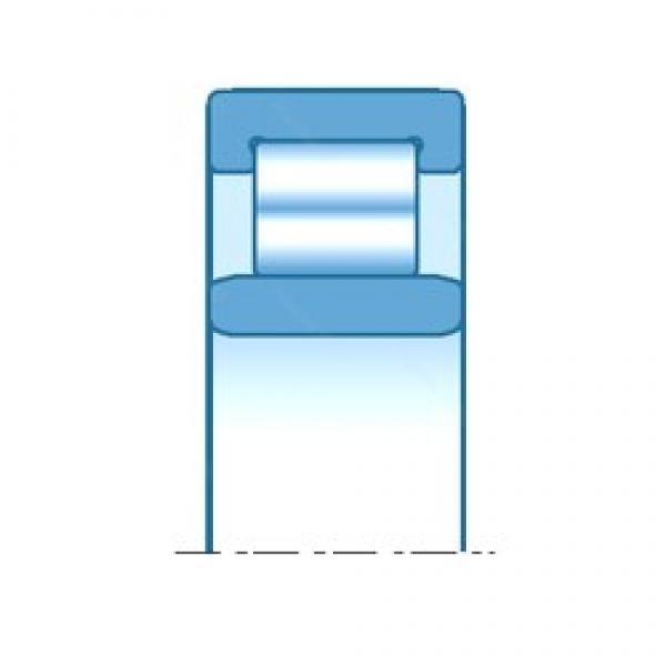 127,000 mm x 254,000 mm x 114,300 mm  NTN RE2512 محامل أسطوانية #1 image