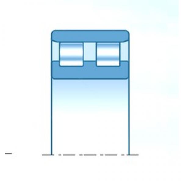 140 mm x 210 mm x 53 mm  NTN NN3028KC9NAP4 محامل أسطوانية #1 image